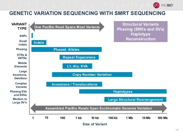 Genetic Variants in Alzheimers Disease